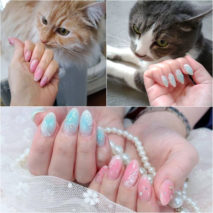 382e73fc 51ad 4565 8052 66cc9e594e2b 1714989055409