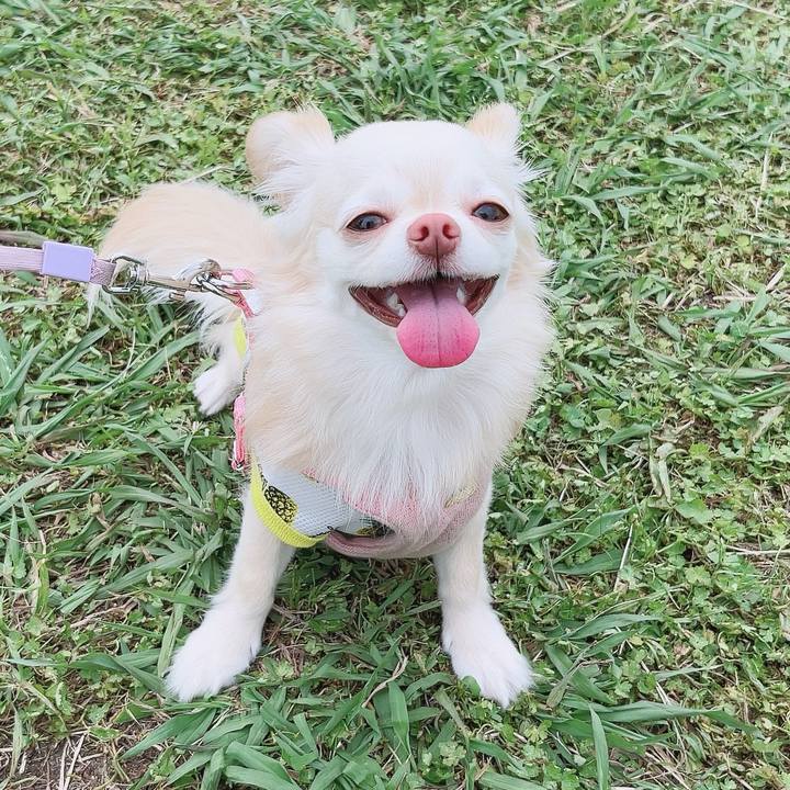 382e9c38 6008 4be2 b15d bd7212b82180 1684738484164