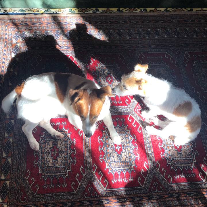 382eb3ae d878 44ea a37e addf2d08d9be 1606525126949