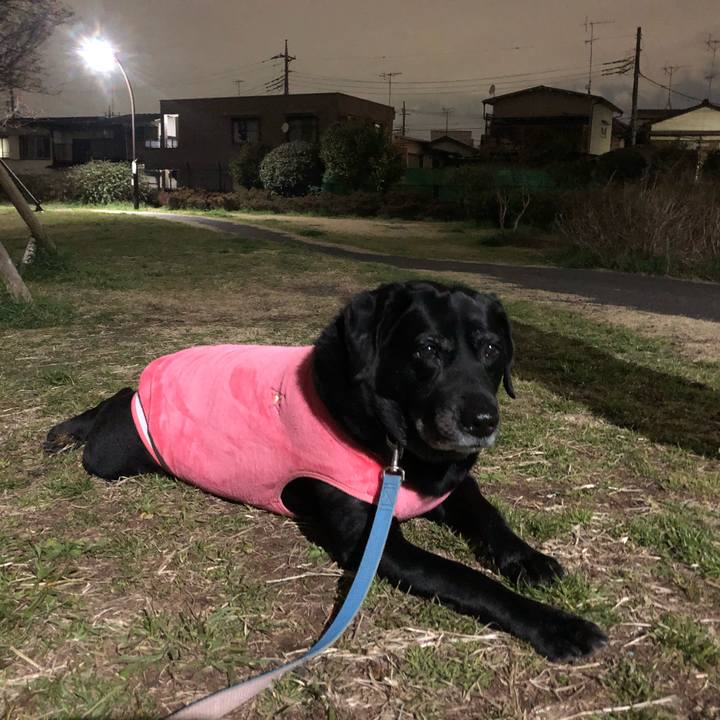 382ec722 af6a 4a69 bfa0 379bf1ec2319 1583234249025