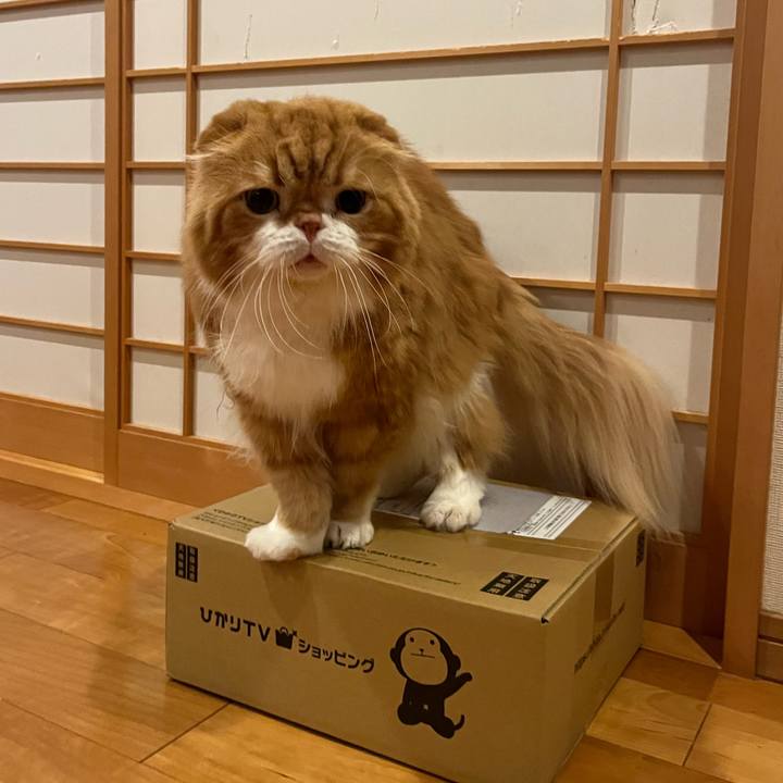 382ed0cd 5017 4bcf aaed 541ac5d6df75 1767949465946