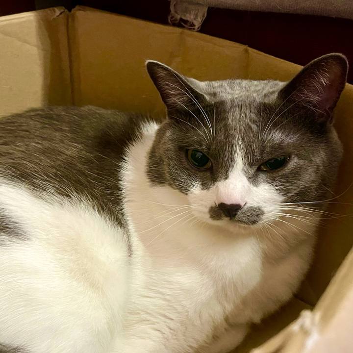 382f038e 71e5 446f b221 fdfe073b4e0d 1627563754673