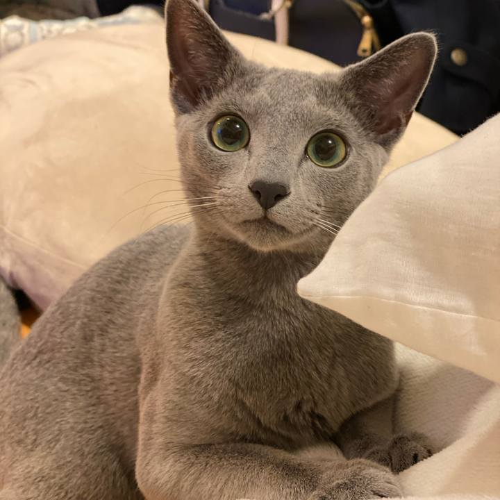 382f5758 5b07 4b41 8bc7 27ee1605bbac 1616671113058