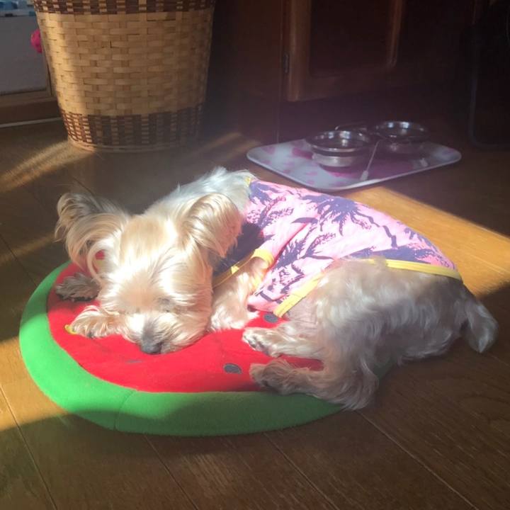 382fc4e4 2810 4cee 8c7f d8cc70d3f6dc 1552778593471