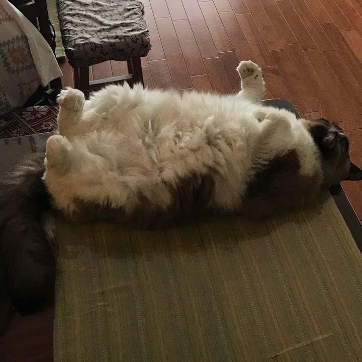 382fdfce 3e9f 4300 b9f6 d2d951f32632 1507990080820