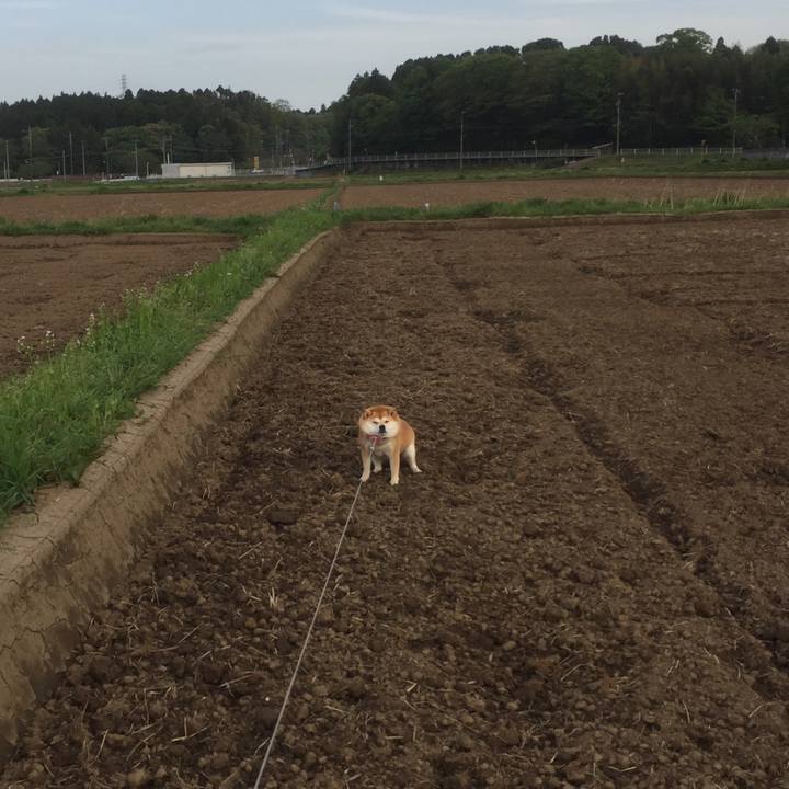 38302366 4d58 42d5 96cf 9b794d328a20 1541925664169