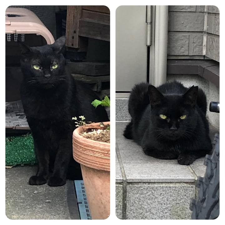 383030e6 ea9f 4e23 8e2b 6aabdb30c6ab 1568465893805