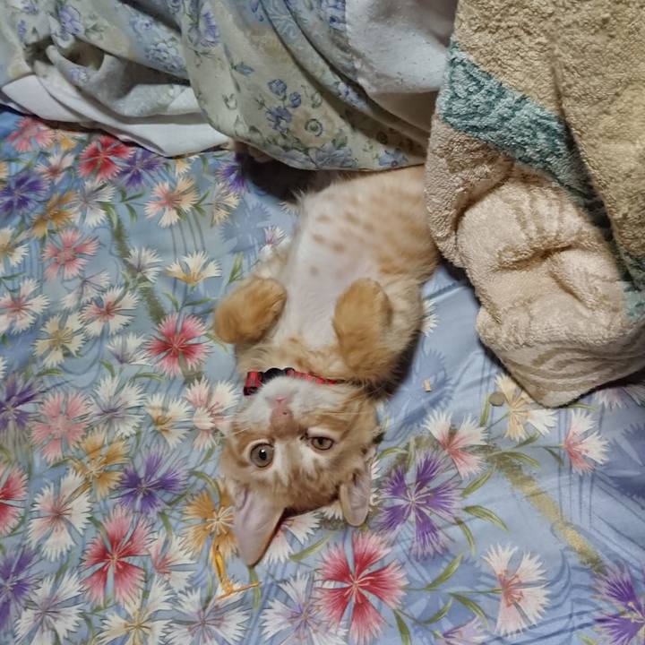 3830e66c 7f80 495f af21 f81ed5a0681e 1629837129383