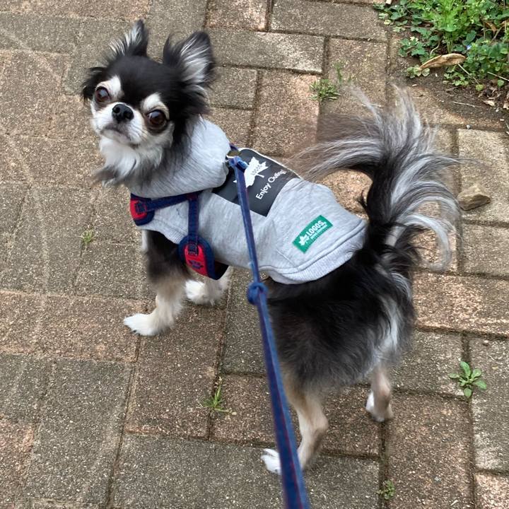 3830ec8e b33e 42da 9739 203327612a31 1712400517715