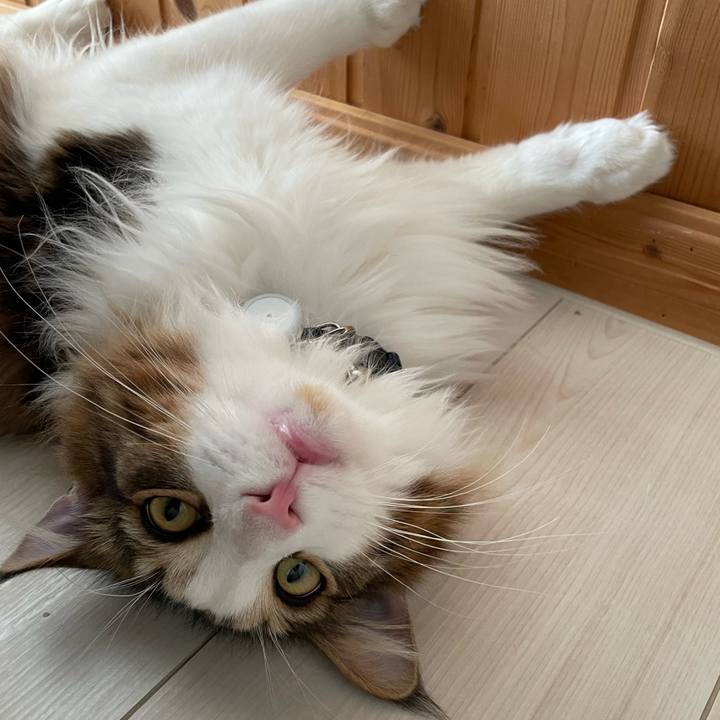 3830f179 aafb 4bd1 be5e f06da4da4487 1652047871088