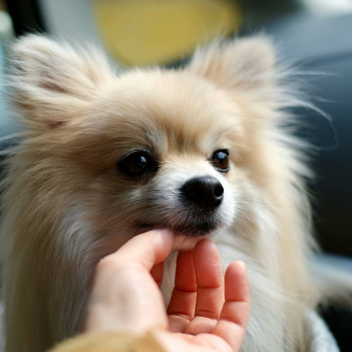 3830f6af 4ee6 494b a083 8986b07fc796 1774941321657