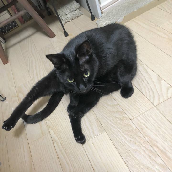 38313671 c53d 4f10 99ef a6c006469f46 1609850438842