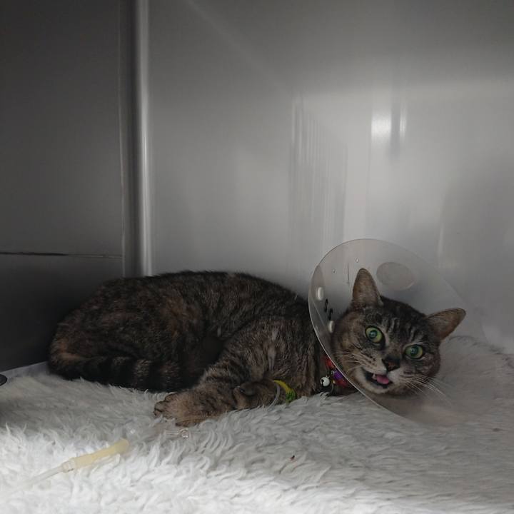 383143f3 eb24 469a 9d8f 28d972d0329b 1585730986692