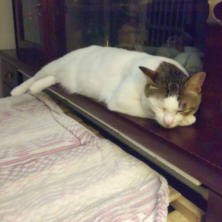 383147c9 47b5 4393 8c5a 5b35929cb316 1726922776247