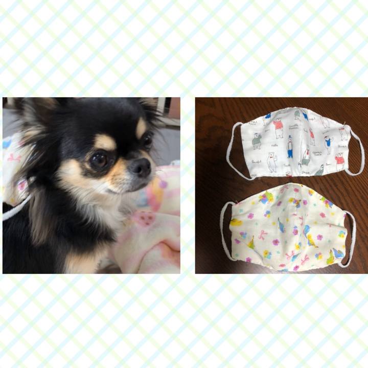 38314bef 7166 4b12 9ae2 0a1e8cb042d9 1581487467848