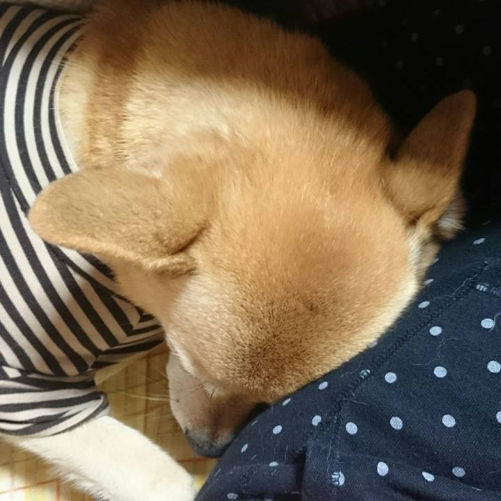 38317497 aed1 444f aea9 059280098e56 1540693041556