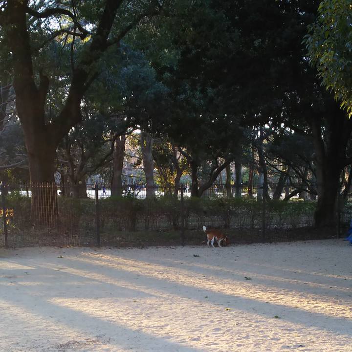 38317f0c 6d70 4b81 ae24 553a0da3b0fd 1548573639866