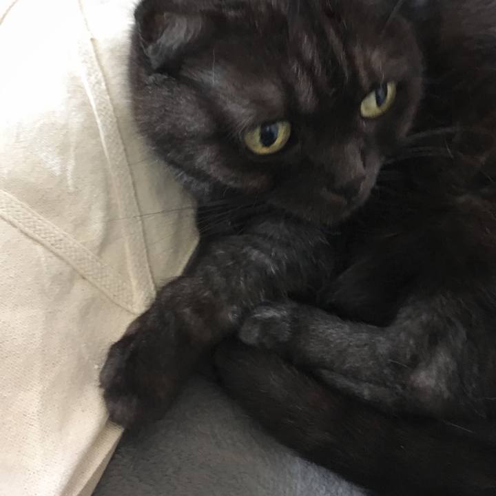 3831def1 4071 491d 9ee0 c3f921df7409 1568175133376