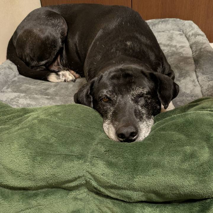 3832217d dfad 491d ad79 13ffe51f2bc8 1766847875496