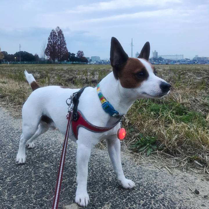 38325d68 2837 42cc a9ff 6fc7e437f73d 1512380471501