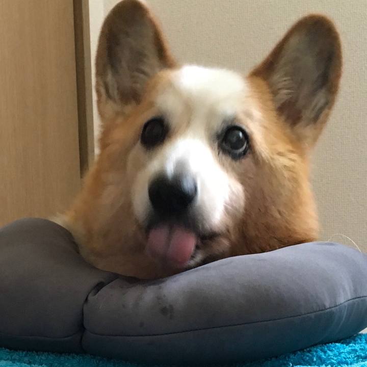 3832c7d3 8e3d 4750 8bf0 5908d1aabcac 1597199975378