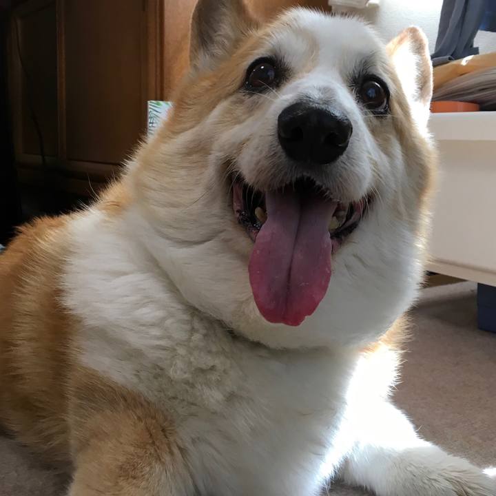 3832ec80 6642 40fb a60f 57c2bc334b00 1530231897608