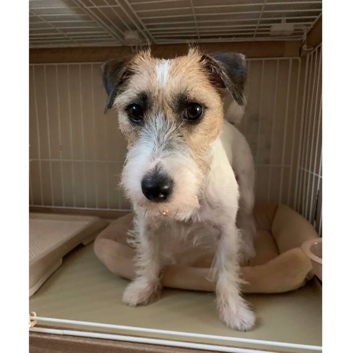 3833141b f717 47ee 959d 781fc126a768 1599173432295