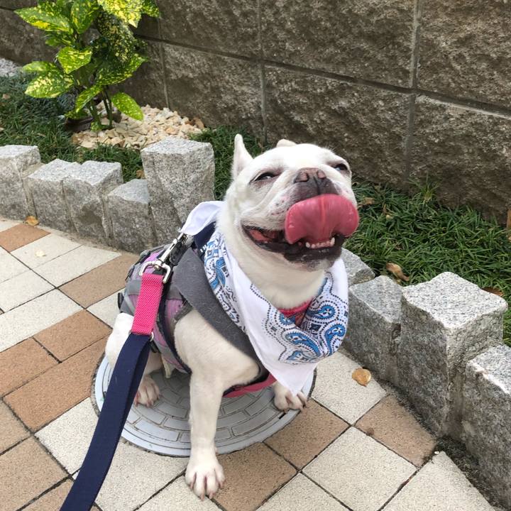 38333eed 4066 4d21 ae19 9ea6aeedbf39 1624150971905