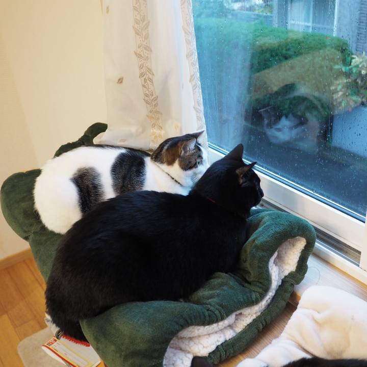 383350fe 1705 4cc5 b77a 29794bfc1bf2 1544572252325