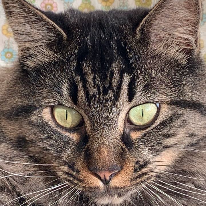 383367d2 a663 44c8 a782 5f9669e153d8 1670633461287