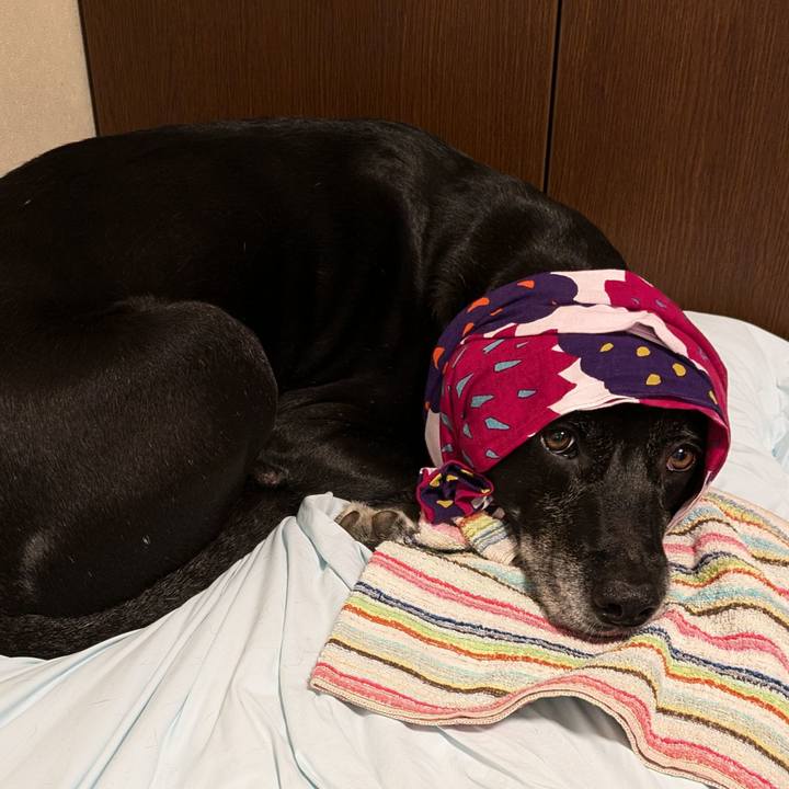 38337361 d61d 4933 81e8 3231d37bd01c 1720264457017