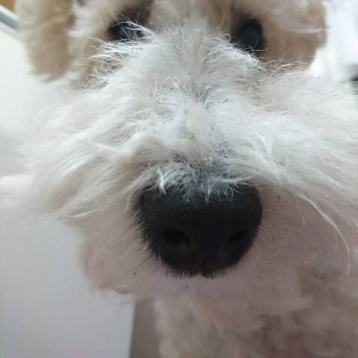 3833a271 277b 4aa8 b7e9 a077f7d7726e 1524209751070