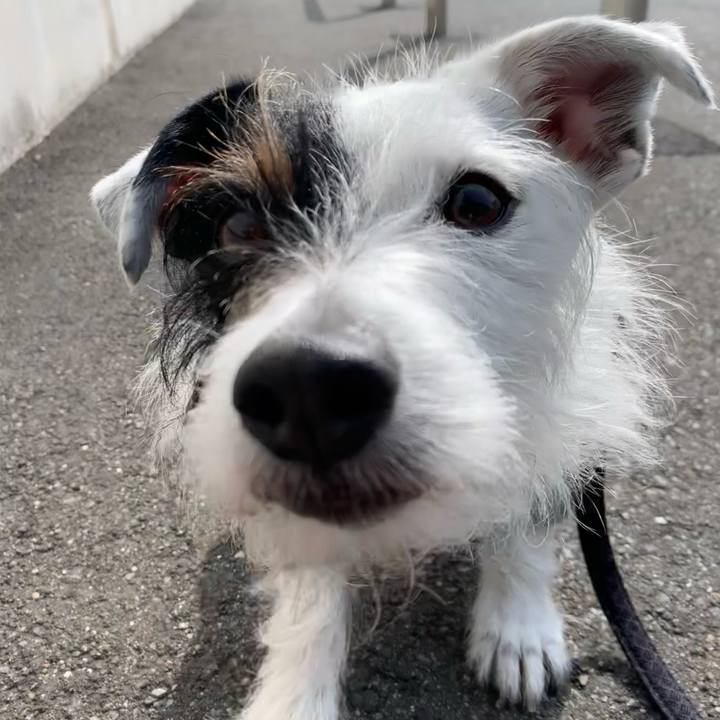 3833bedb 4c40 4ace be3d aa66ea17fd98 1649290185611