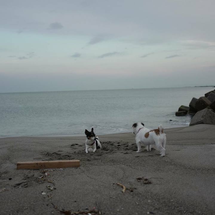 3833c44e cd83 46b0 8ffd 4c7b6dd6299d 1510980537232