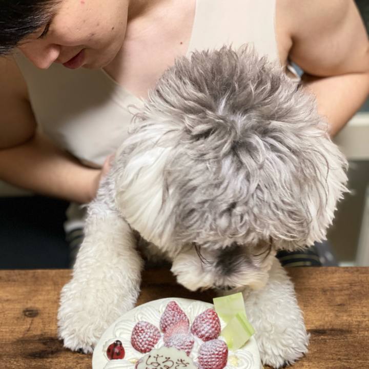 383441ec 44ca 4328 b2cc d00a173e9611 1611383389590