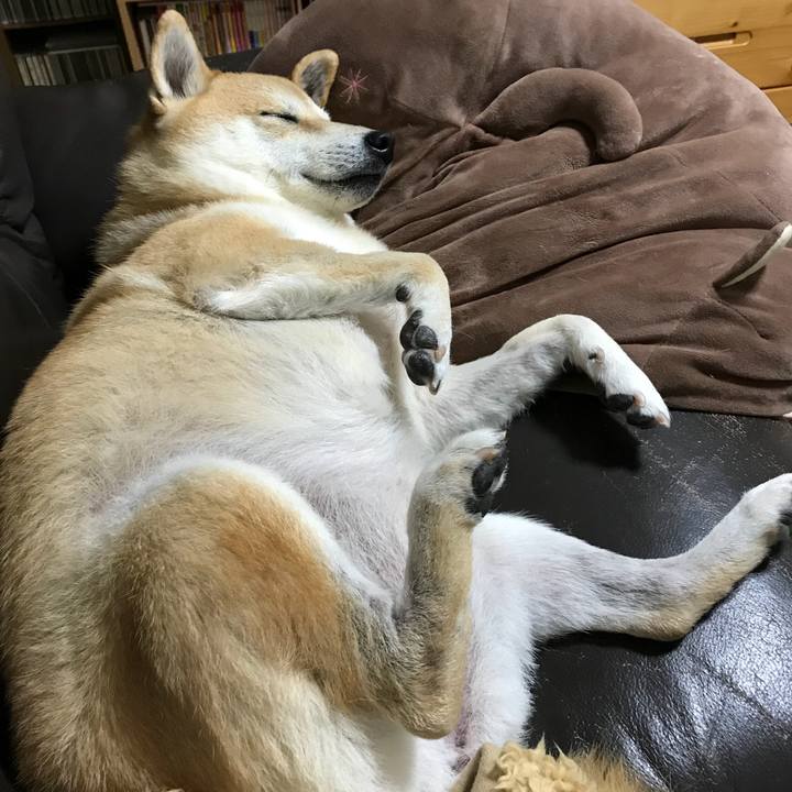 38344659 3e5e 480b a3a0 f854a0713d72 1515372103937