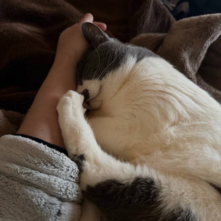 38345c79 4db9 41b4 919d af6c351a2ecd 1772526996756