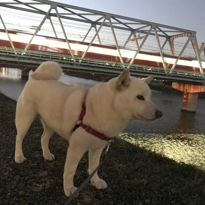 38349060 ac79 4470 b76c 366ae929917e 1520327696115