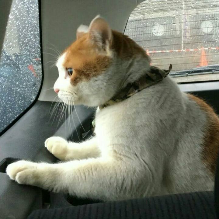 3834bc47 8570 4e55 bf0a 69fda8d56c5a 1516713710718