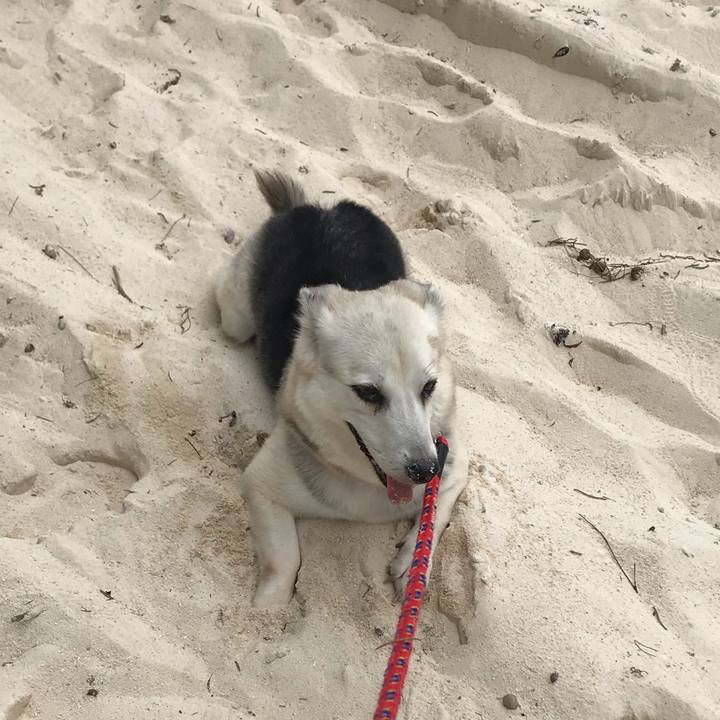 38351315 754a 4b12 a6b0 73690ac56907 1587725498182