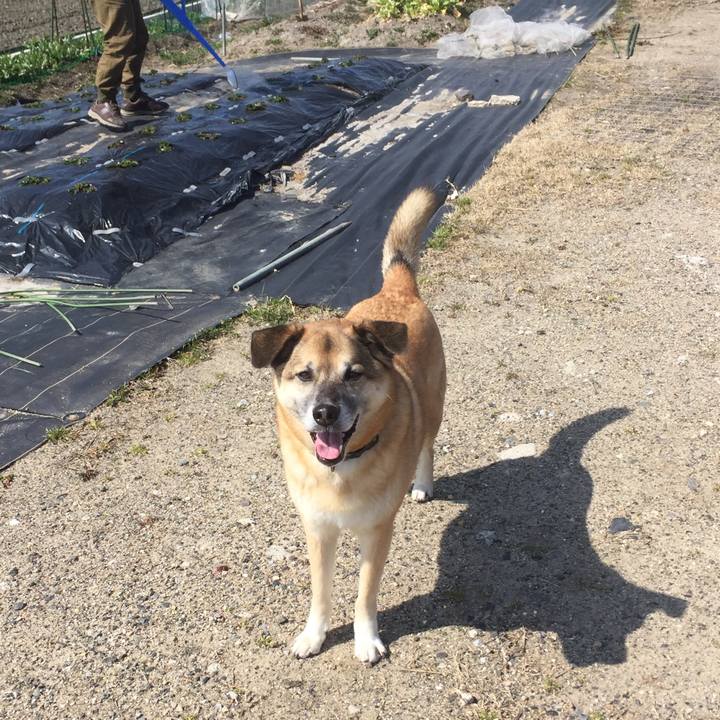 383540c5 3b85 4fe1 8849 5cce71128c99 1520138834612