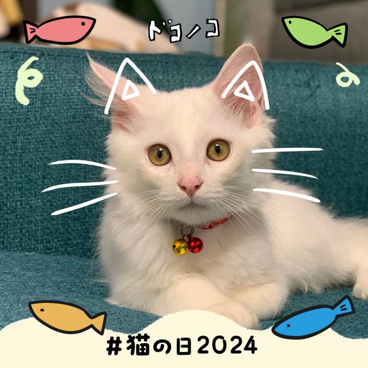 3835677f a9db 4815 a04f 3988c372759d 1708600819005