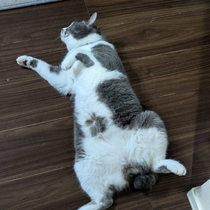 3835b3b7 8338 44e5 8d92 2103b5a06ac4 1751453372168