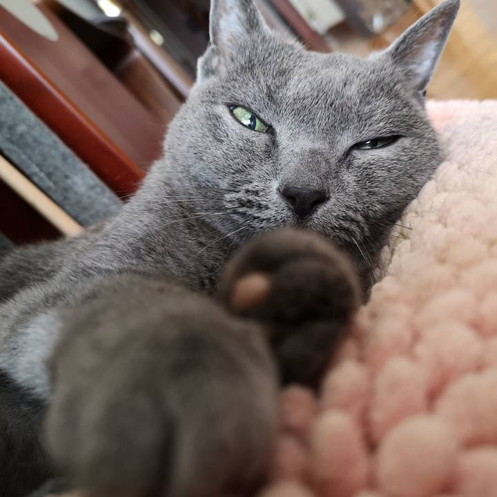 3835cca6 4968 43f8 9fac 8bd567c24e83 1600486606441