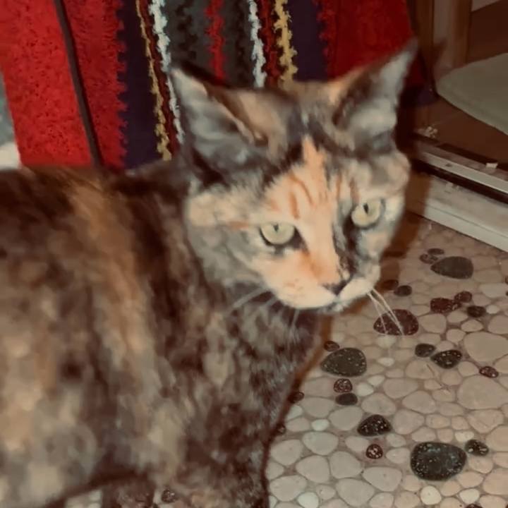 3835e576 8735 46b8 b5ff 5d7db6427363 1770929170933