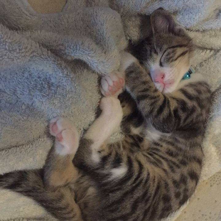 3835e626 8d6f 4b8b 83c3 9caaa4d6a66e 1655635672623