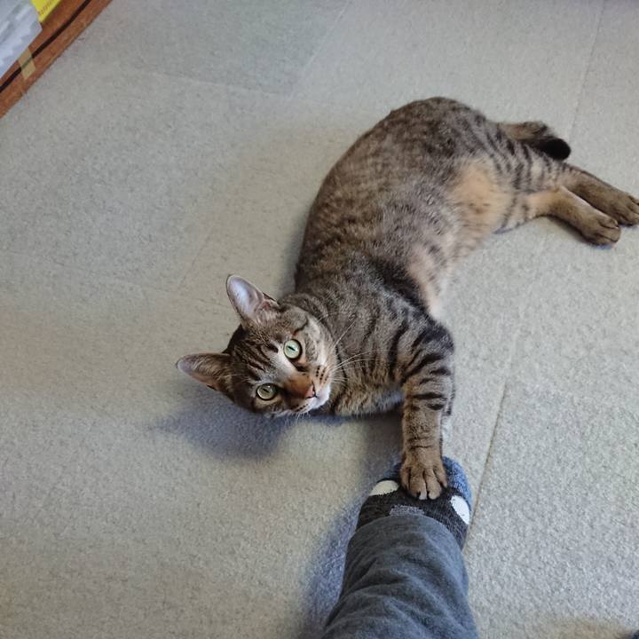 38360e2d 880a 42eb 88c4 383e229a195e 1581235893755