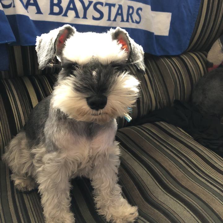 383641de a589 4c73 8cbd 6c9a5c6f045e 1543632593420