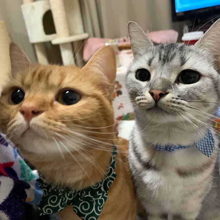 3836497f 82c0 418a 8af0 d1edcb78d9e9 1572912314231