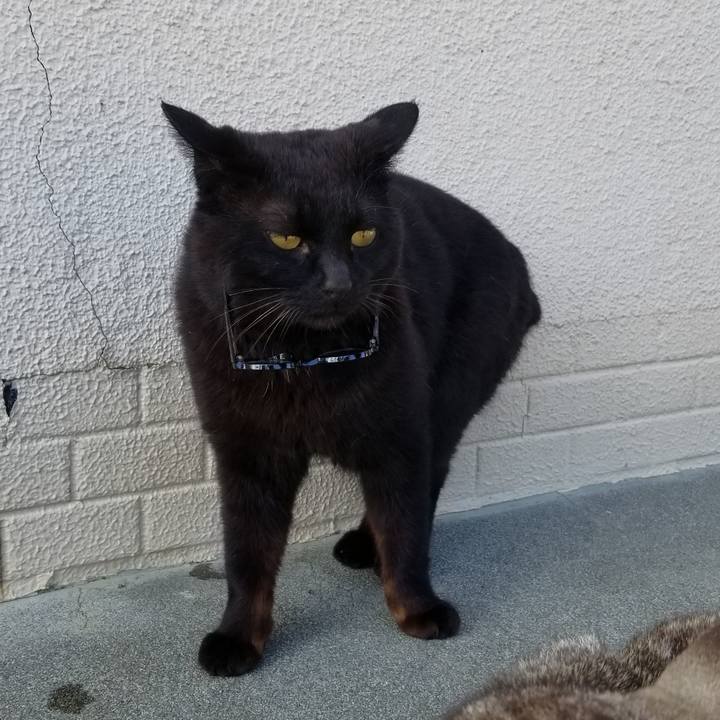 3836a86e d036 4cda ad6a 39b6c39fa42f 1684854446512